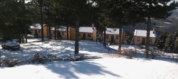  Property في Polygyros, Greece 580متر مربع رقم 5770 13