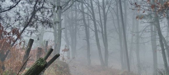  Property في Polygyros, Greece 580متر مربع رقم 5770 5