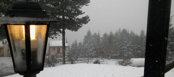  Property في Polygyros, Greece 580متر مربع رقم 5770 16