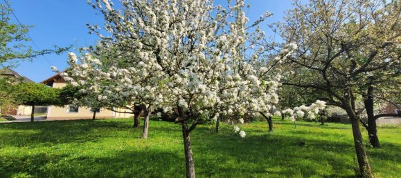 Дом с 15 комнатами в Занкт Флориан, Австрия № 83781 13