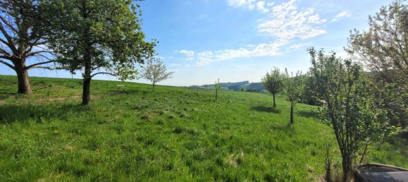 Дом с 15 комнатами в Занкт Флориан, Австрия № 83781 14