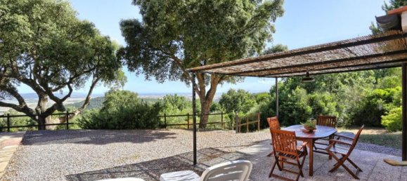 8 bedrooms Farm in Suvereto, Italy No. 257 5