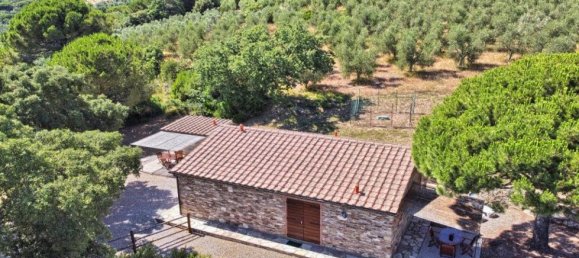 8 bedrooms Farm in Suvereto, Italy No. 257 4