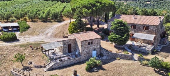 8 bedrooms Farm in Suvereto, Italy No. 257 3