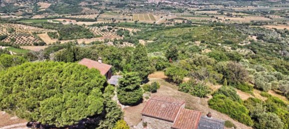 8 bedrooms Farm in Suvereto, Italy No. 257 6