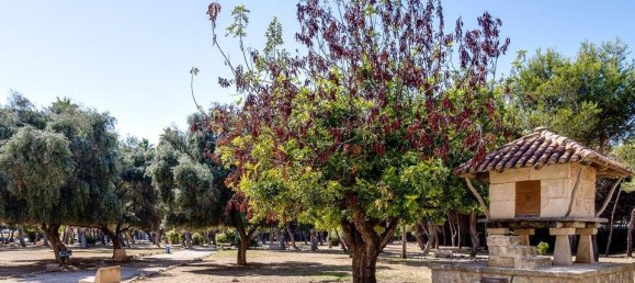 1 bedroom Apartment in Torrevieja, Spain No. 183098 32