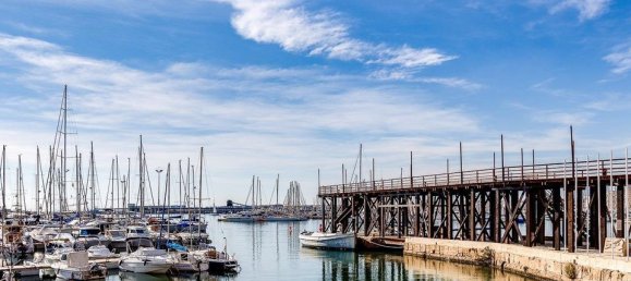 1 bedroom Apartment in Torrevieja, Spain No. 183098 28