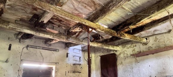 1 bedroom Apartment in Padua, Italy No. 266350 5