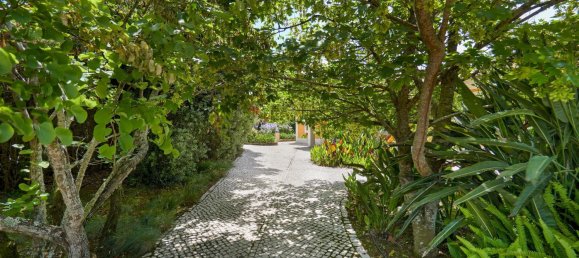 5 bedrooms House in Colares, Portugal No. 114672 27