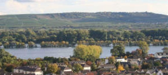 Студия в Райнгау-Таунус, Германия № 130222 3