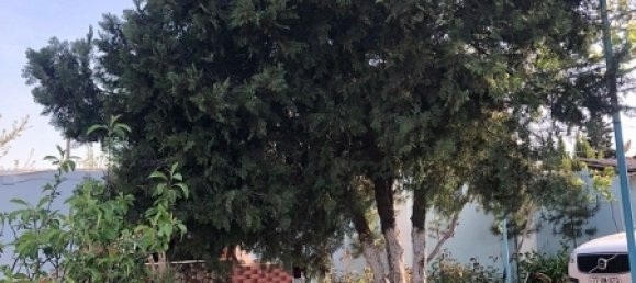 180m² House in Absheron, Azerbaijan No. 14 33