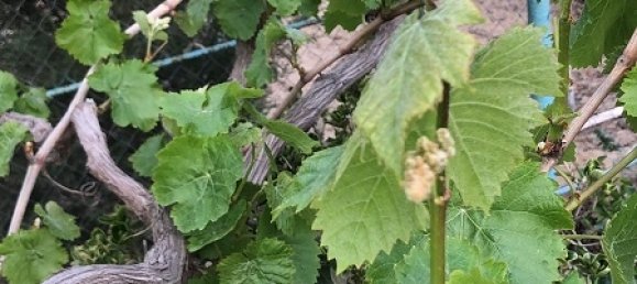 180m² House in Absheron, Azerbaijan No. 14 35