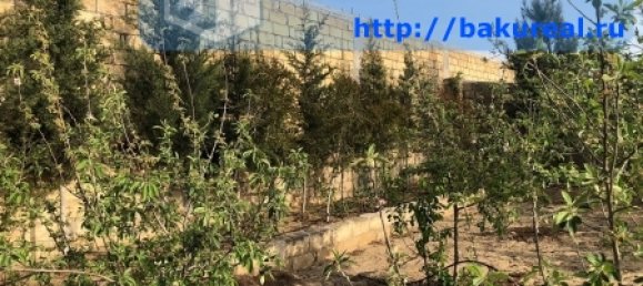 180m² House in Absheron, Azerbaijan No. 14 34