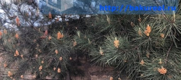 180m² House in Absheron, Azerbaijan No. 14 30