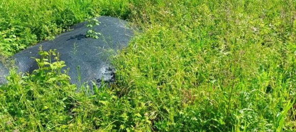 Terreno en Lucca, Italy 100 m² No. 90491 12