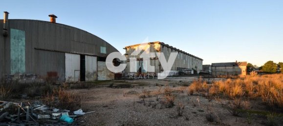 19568m² Warehouse in Cartaxo, Portugal No. 90934 14