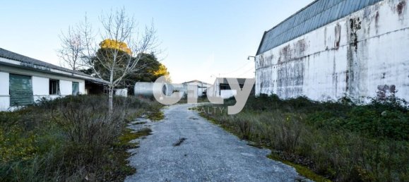19568m² Warehouse in Cartaxo, Portugal No. 90934 2