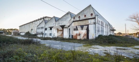 19568m² Warehouse in Cartaxo, Portugal No. 90934 4