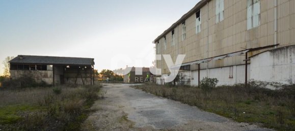 19568m² Warehouse in Cartaxo, Portugal No. 90934 17