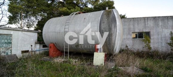 19568m² Warehouse in Cartaxo, Portugal No. 90934 23