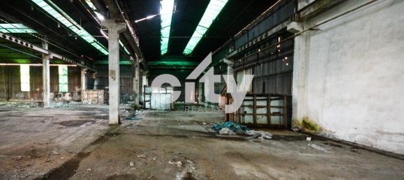 19568m² Warehouse in Cartaxo, Portugal No. 90934 11