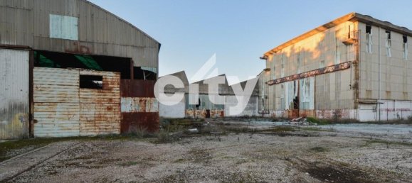 19568m² Warehouse in Cartaxo, Portugal No. 90934 16
