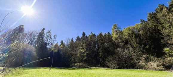  Land in Tulfes, Austria No. 215858 2