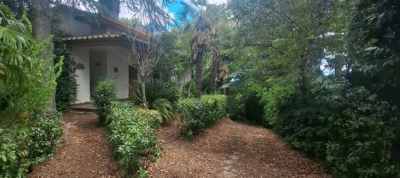 6 rooms Villa in Lajatico, Italy No. 273066 12