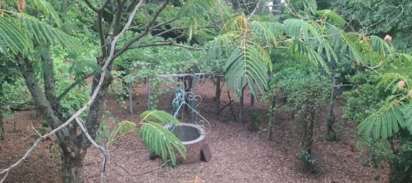 6 rooms Villa in Lajatico, Italy No. 273066 2