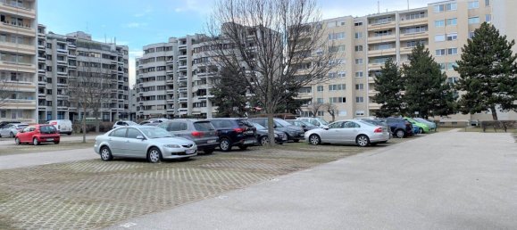 4-Zimmer Gewerbliche Immobilie in Wiener Neustadt, Austria, Nr. 66065 21