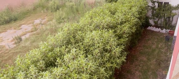 Casa T4 em Castellon de la Plana, Spain N.º 146777 46