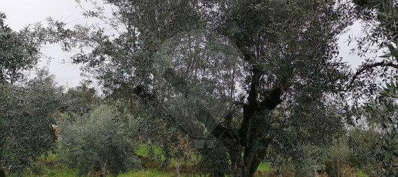 Дом с 2 спальнями в Орен, Португалия № 170070 20