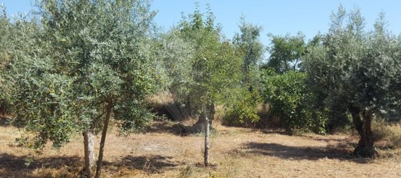 Дом с 2 спальнями в Орен, Португалия № 170070 6