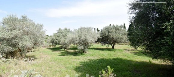 Casa T4 em Nules, Spain N.º 129424 36