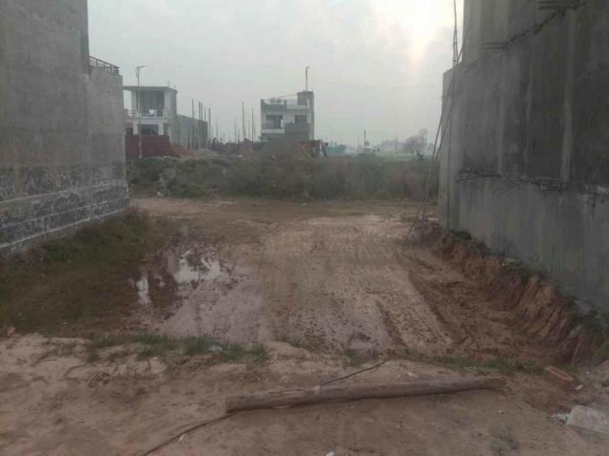  Land in Mohali, India No. 31715