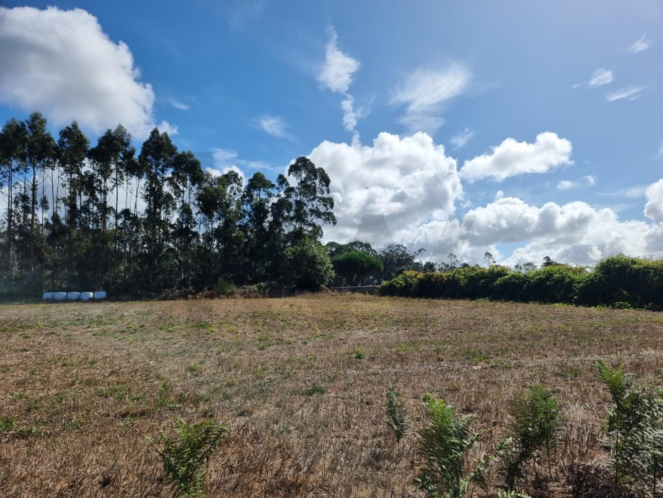  Land in Laundos, Portugal No. 314657