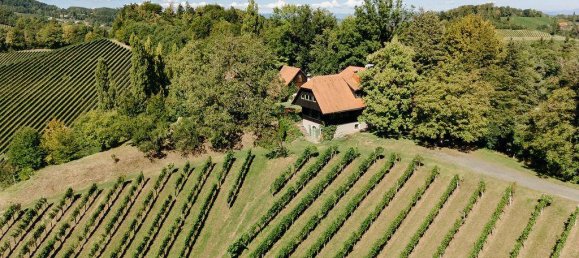 4 غرف نوم عقار تجاري في Gamlitz, Austria رقم 257959 2