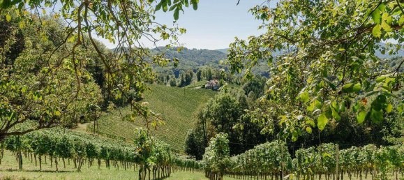 4 غرف نوم عقار تجاري في Gamlitz, Austria رقم 257959 32