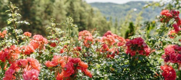 4 غرف نوم عقار تجاري في Gamlitz, Austria رقم 257959 31