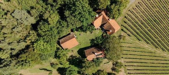 4 غرف نوم عقار تجاري في Gamlitz, Austria رقم 257959 3