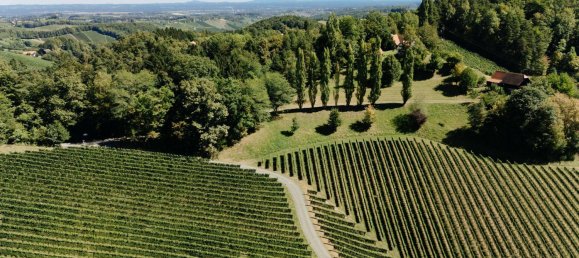 4 غرف نوم عقار تجاري في Gamlitz, Austria رقم 257959 30