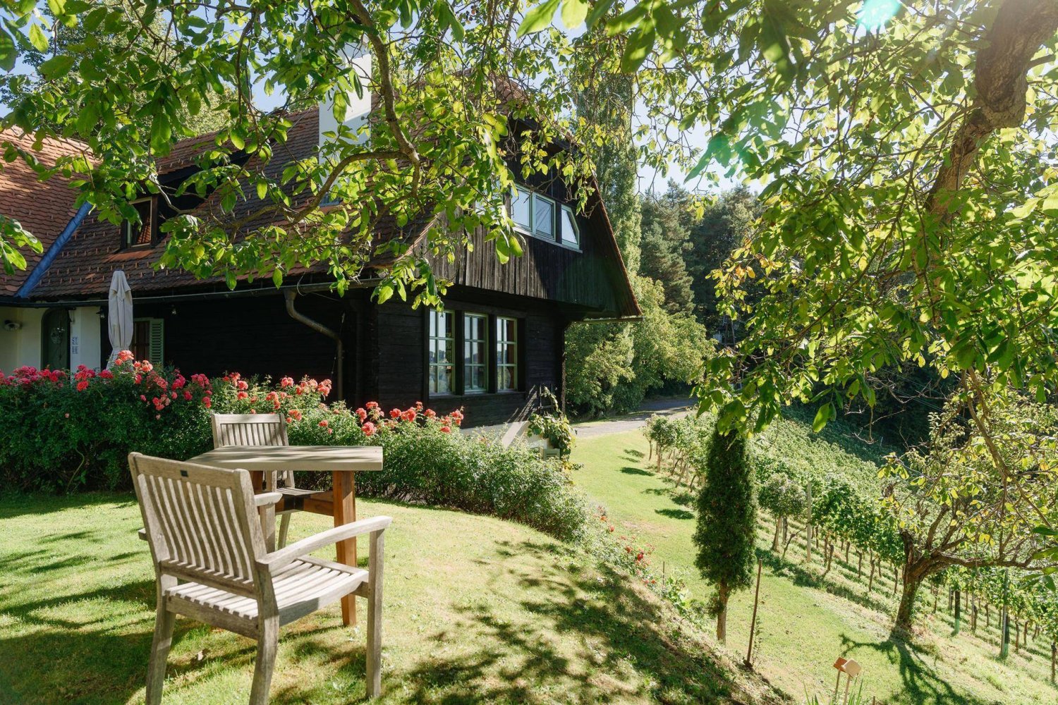 4 غرف نوم عقار تجاري في Gamlitz, Austria رقم 257959