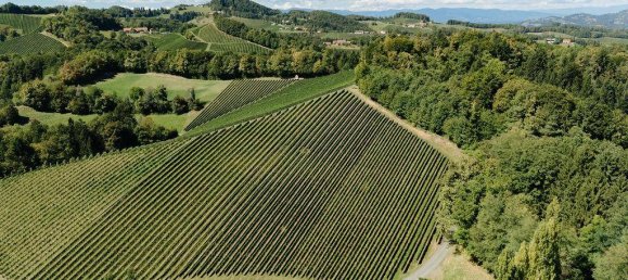 4 غرف نوم عقار تجاري في Gamlitz, Austria رقم 257959 29