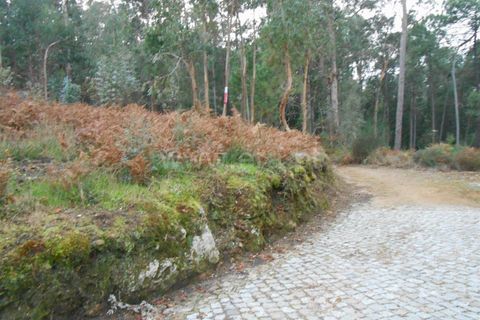  Land in Barcelos, Portugal No. 205234