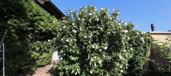 5 rooms Bungalow in Bohnsdorf, Germany No. 365407 27