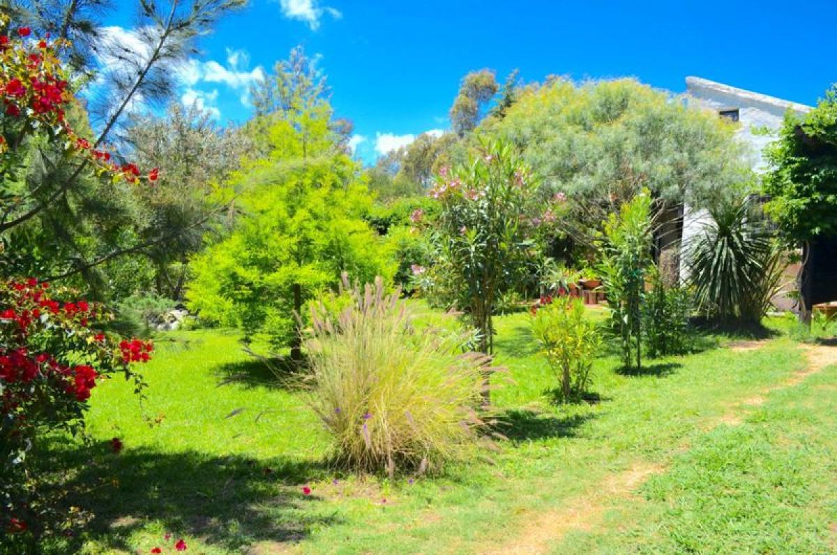 2 bedrooms House in Maldonado, Uruguay No. 12114