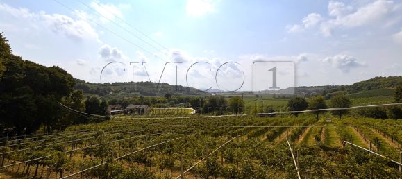 9غرفة منزل في Barbarano Mossano, Italy رقم 312354 15