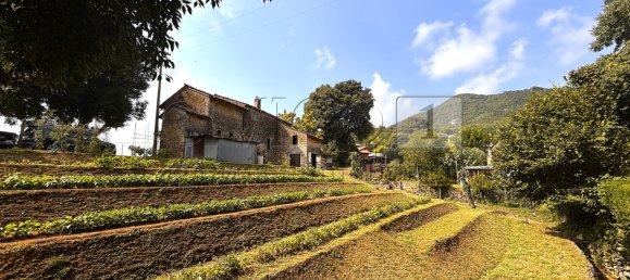 9غرفة منزل في Barbarano Mossano, Italy رقم 312354 5