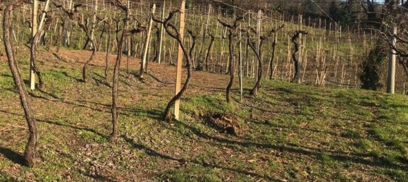 Grundstück in Soave, Italy 24000m², Nr. 188087 2