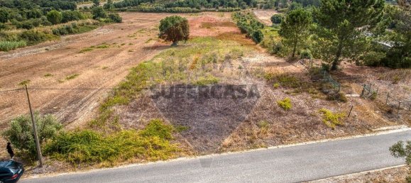  Land in Vila Cha de Ourique, Portugal No. 346835 5